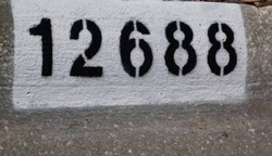 Curb Number Painting
